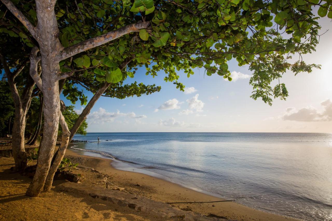 East Winds St. Lucia Ξενοδοχείο Νησίδα Γκρος Εξωτερικό φωτογραφία