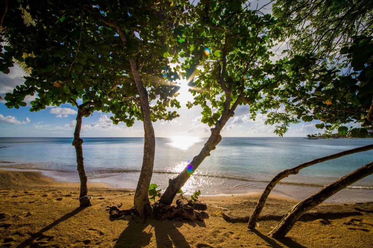 East Winds St. Lucia Ξενοδοχείο Νησίδα Γκρος Εξωτερικό φωτογραφία